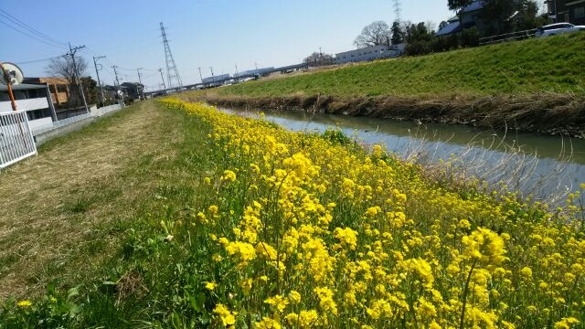 Spring has come! 【春が来た！】