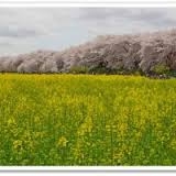 この権現堂は一見の価値あり！