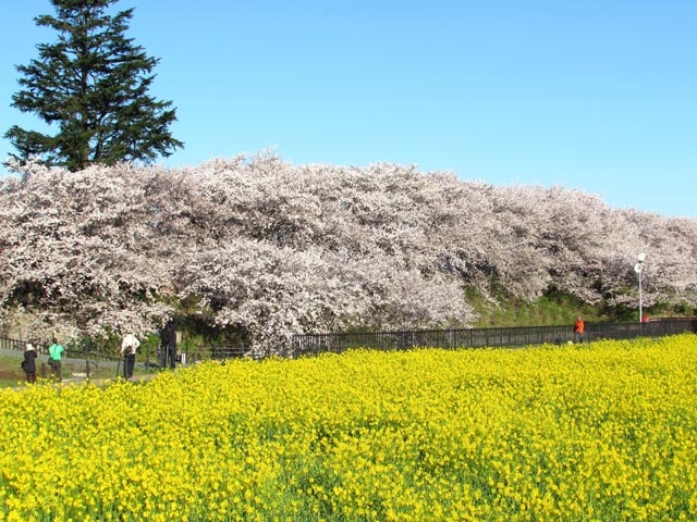 花より団子♪