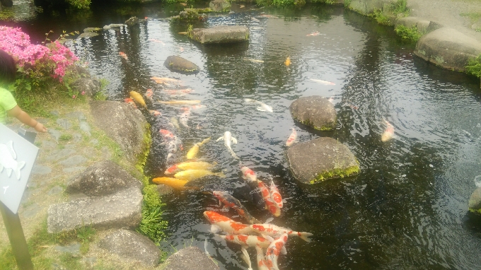 休日はさいたま水族館がお薦め！！