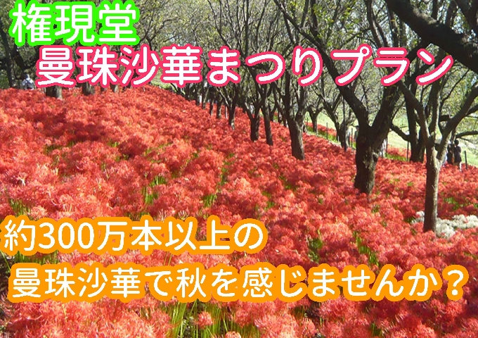 幸手の秋を堪能しませんか??