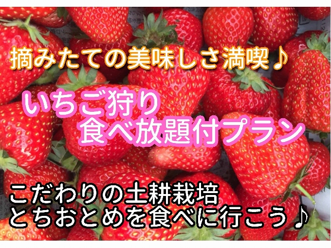 いちご狩り食べ放題プラン誕生！！