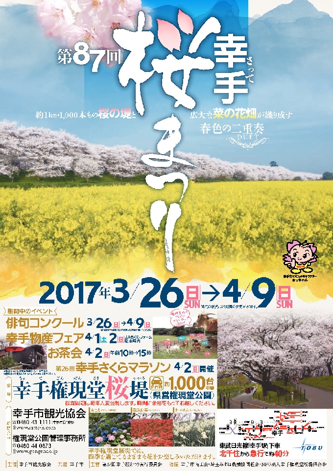 今年も桜の時期ですね〜