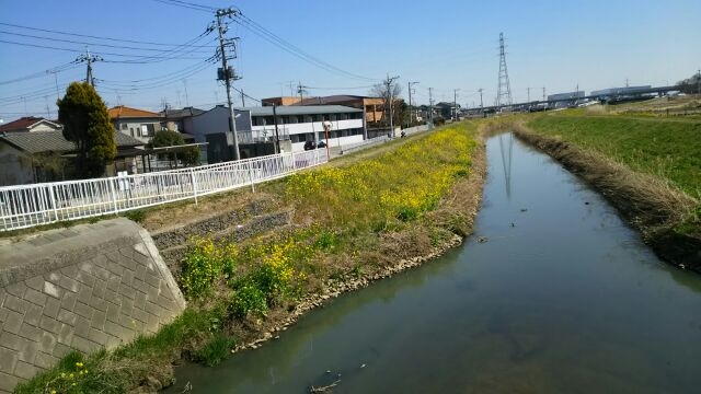 Spring has come! 【春が来た！】