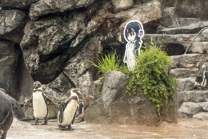 来たる夏休み！！東武動物公園にゴーゴー！！！