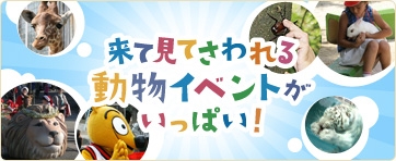 お休みは東武動物公園へ！お得なチケットも販売してます！