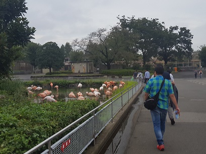 東武動物公園（動物編）