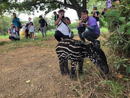 年末年始も東武動物公園とホテルグリーンコアは営業ですっ！！