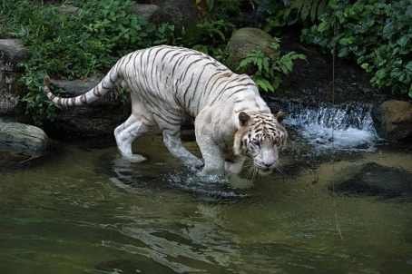 東武動物公園（動物編）