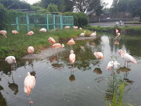 東武動物公園（動物編）