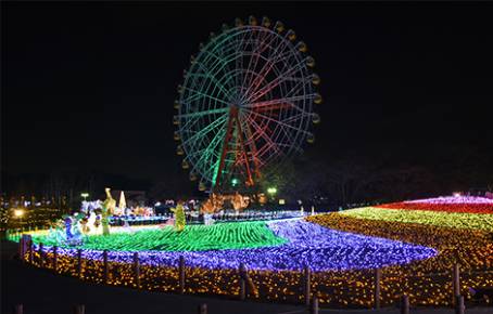 観覧車から園内のイルミネーションが一望