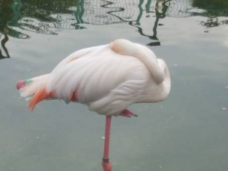 東武動物公園（動物編）